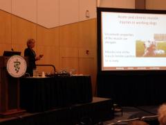 Dr. Anke Langenbach at AVMA 2014