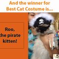 Roo won for Best Cat Costume