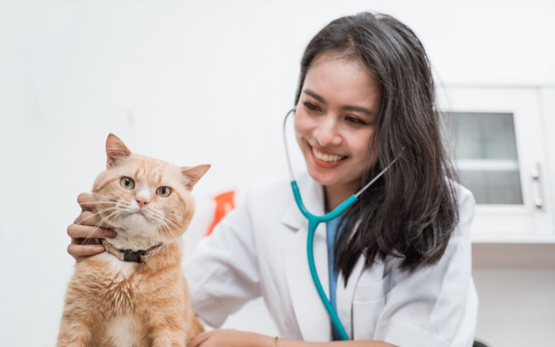 A woman in a white coat gently holds a cat