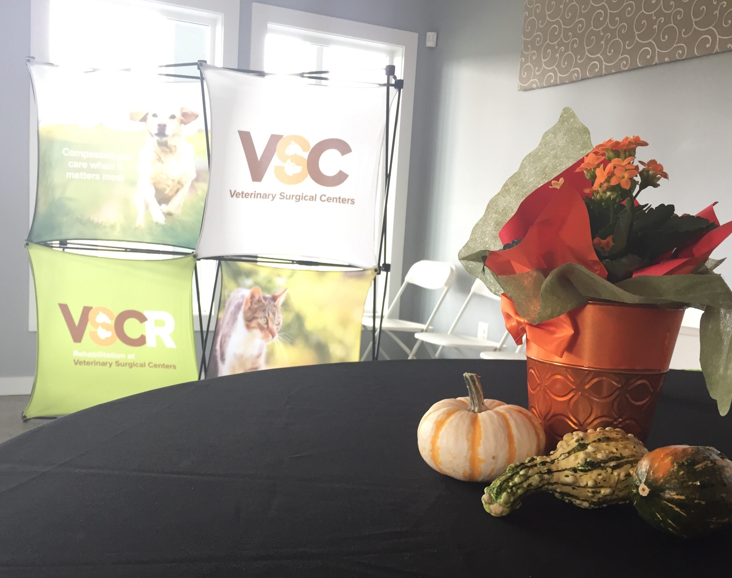 A table adorned with a "VC" sign and several decorative pumpkins