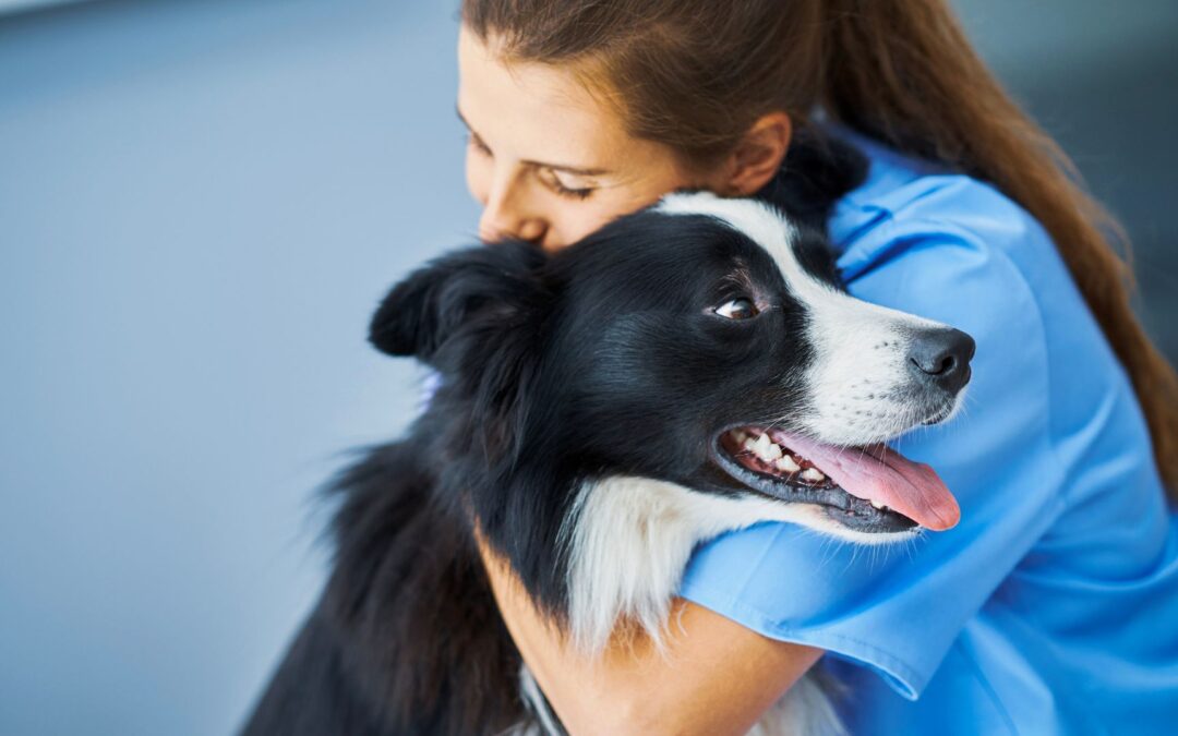 A woman in a blue shirt embraces a black and white dog