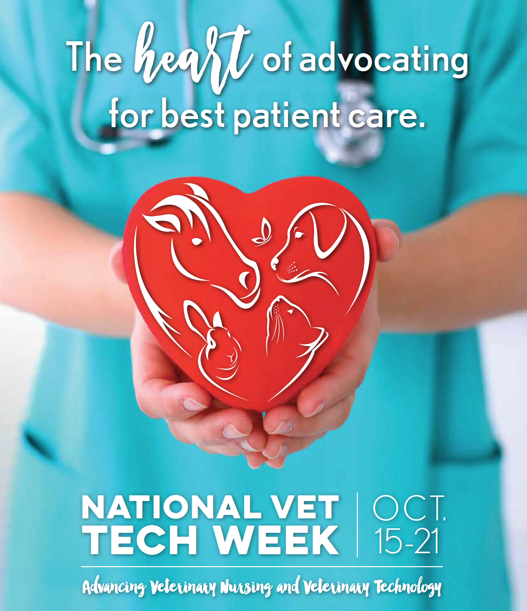 A vibrant graphic celebrating National Vet Tech Week